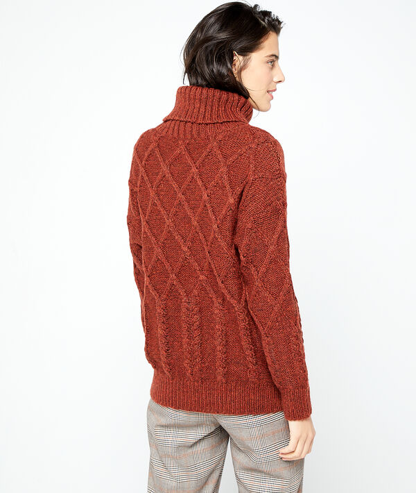 Pull col roulé en grosse maille Pull col roulé en grosse maille