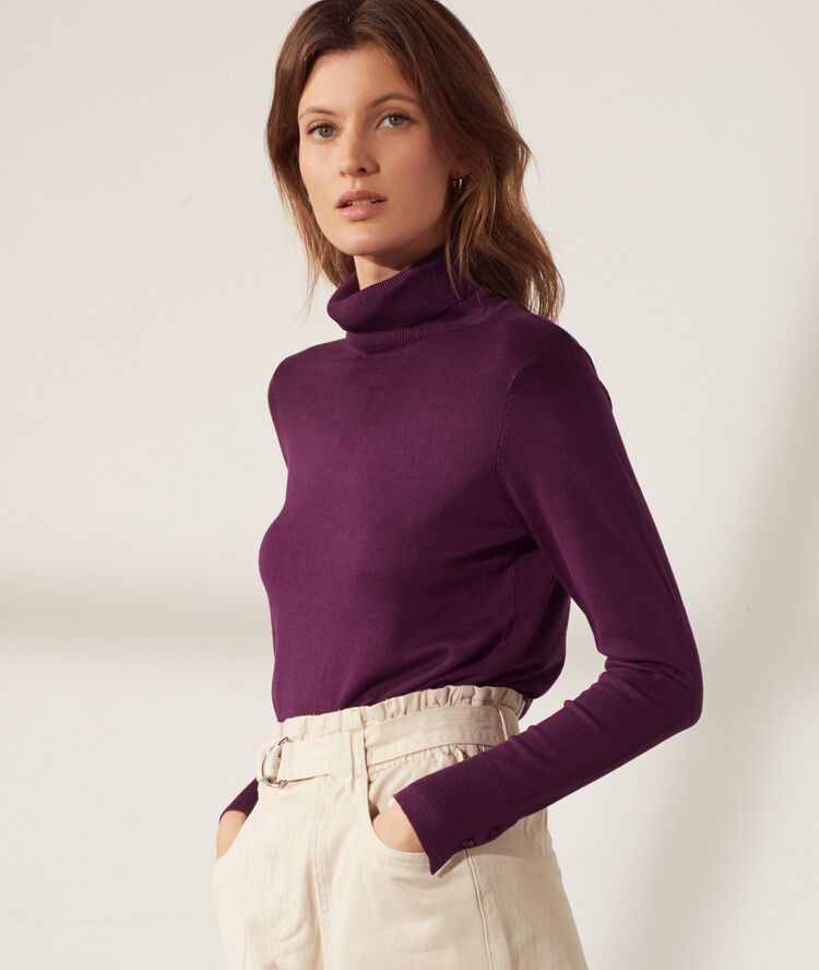 Pull fin col roulé prune.