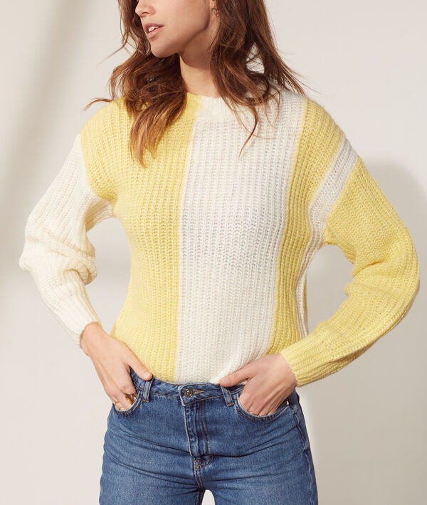 Pull bicolore Pull bicolore