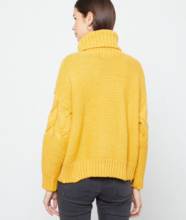 Pull col roulé en maille torsadée Pull col roulé en maille torsadée