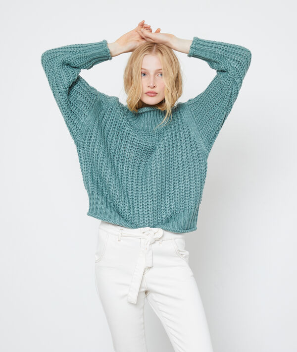 Pull col roulé en grosse maille Pull col roulé en grosse maille