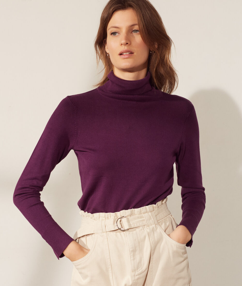 Pull fin col roulé prune.