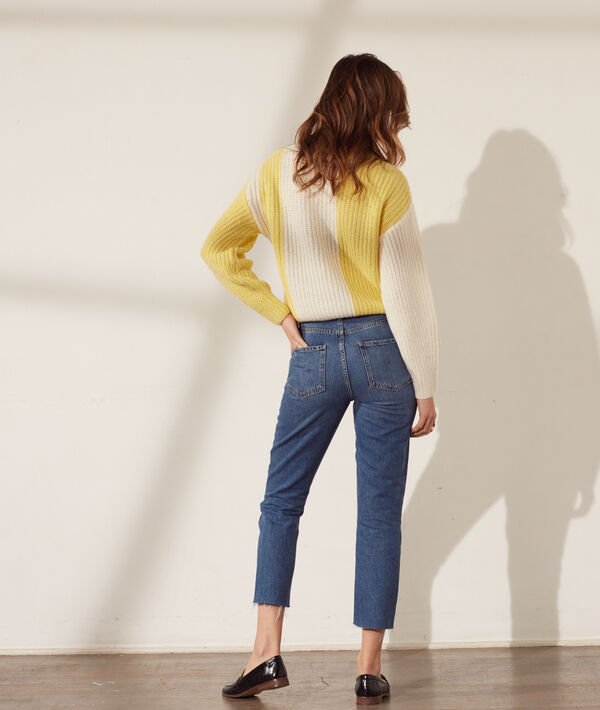 Pull bicolore Pull bicolore