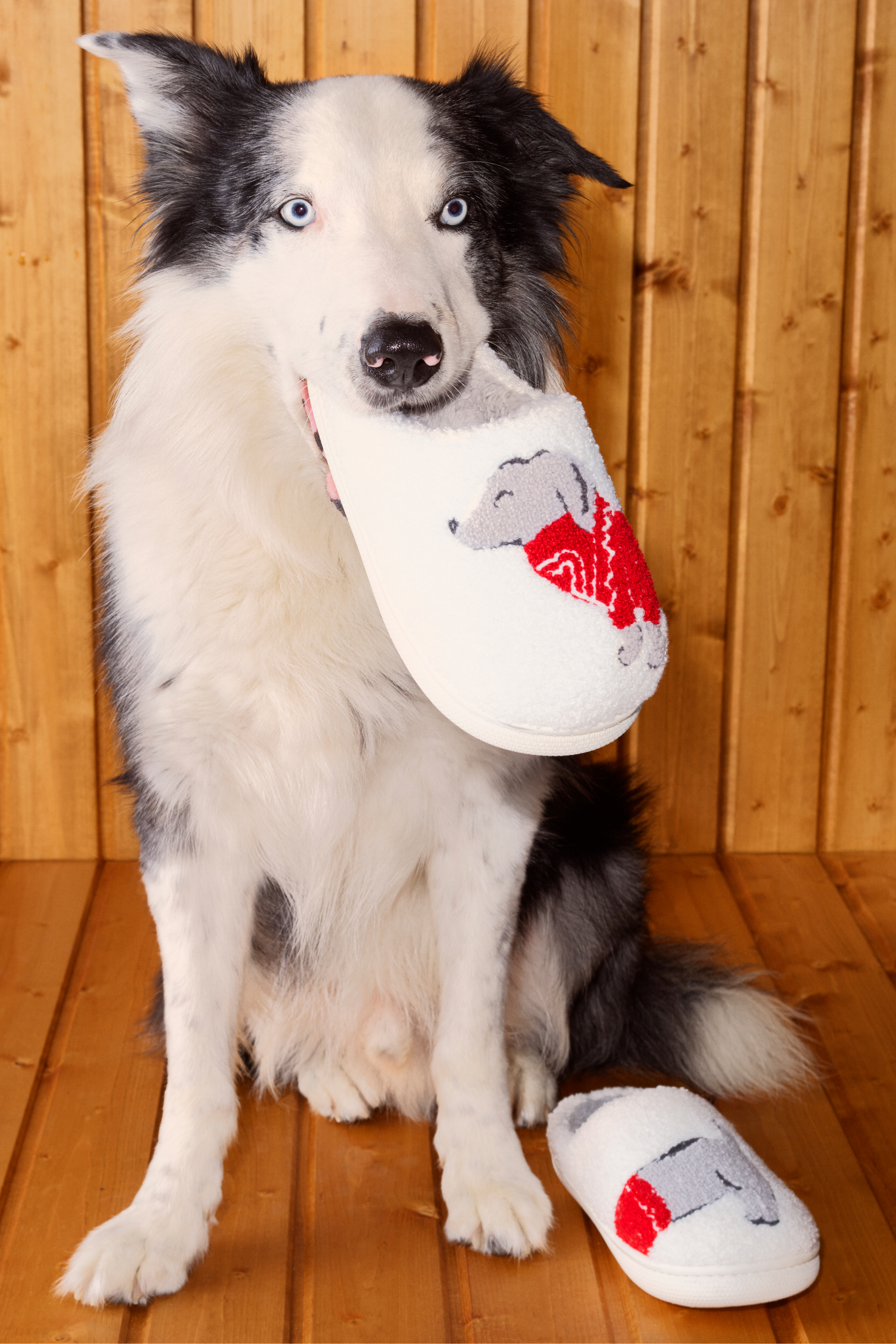Chaussons à motif teckel en fausse fourrure POLYESTER - ETAM