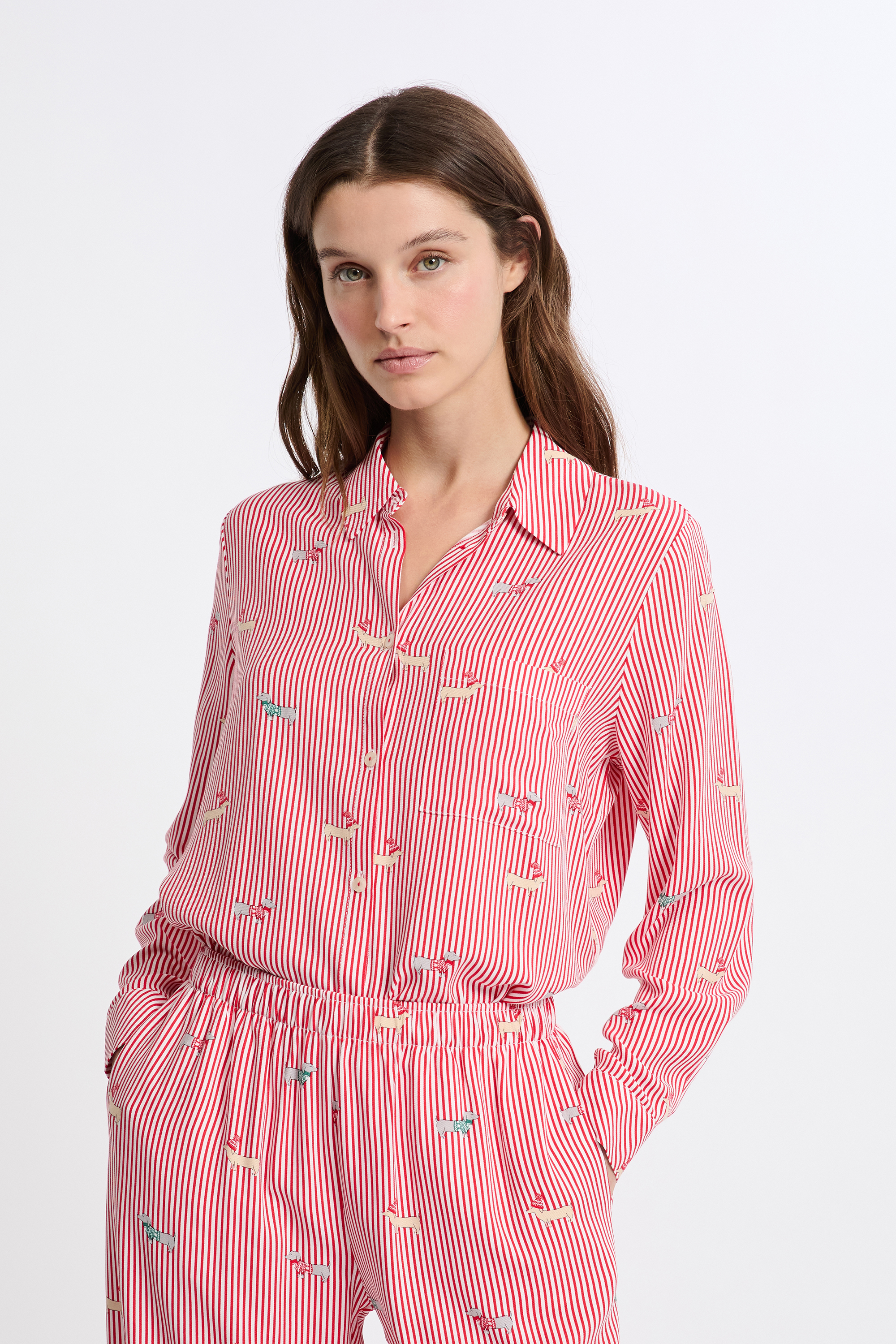 Chemise de pyjama à motifs teckels